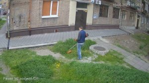 Покос травы аккумуляторным триммером. Запись с камеры видеонаблюдения.