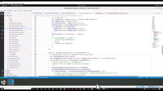 JavaScript Uncaught SyntaxError - JS Minifying Caused Problems