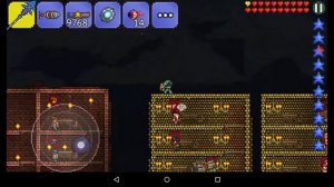 Terraria и новая программа!