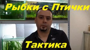 Птичий рынок и Болезни аквариумных рыб. (Архив от 30.10.2021)