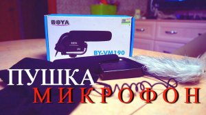 Микрофон пушка BOYA BY-VM190 тест звука #увалеры #влогвтрусах