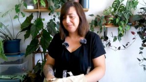 🌿UNBOXING : QUAND CAROLE M'ENVOIE UN COLIS 🥰 | HAUL PLANTES D’INTÉRIEUR