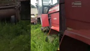 Средство энергетическое универсальное УЭС-2-280А Палессе экспресс-обзор от Владислава Перегудова