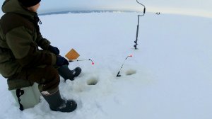 ЗИМНЯЯ РЫБАЛКА НА ВОЛГЕ. ГОРЬКОВСКОЕ ВОДОХРАНИЛИЩЕ. ХИЩНИК.