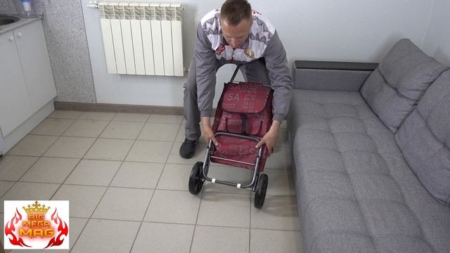 Сумка тележка на колёсах СУПЕР.mp4 смотреть онлайн