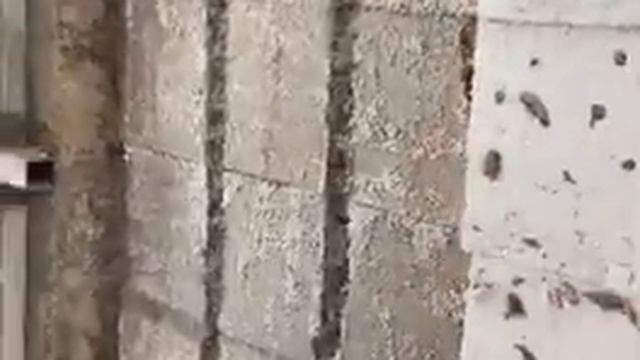 Строительные Дуры ,Арболит Блока, Дюрисол ,Бризолит, Теколит ,Деревобетонные Панели