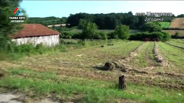 OGNjIŠTE - ŠANTAROVAC 25. 6. 2023. смотреть онлайн