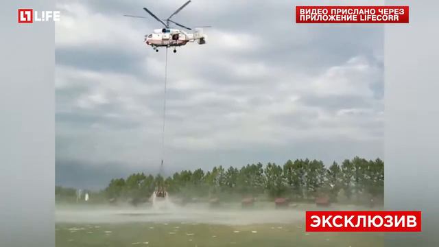 Пожар в подмосковье тушили белугой смотреть онлайн