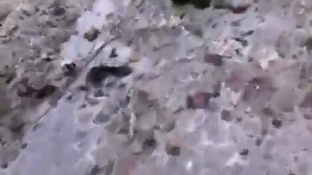 Горловка Озеряновка наша!