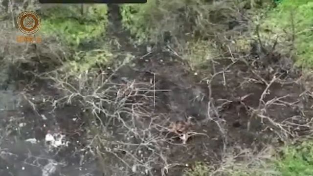 Корректировщик огня БПЛА в связке с вам резкий взлёт и стремительное падение. АХМАТ-СИЛА!!! смотреть онлайн