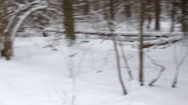 trim 268F2FD7 F58A 441E B721 DC5712C07259 смотреть онлайн