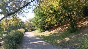 Причал Химки