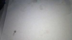 Опель Вектра В загнуло клапана. Чиним ГБЦ X20XEV на машине подписчика.