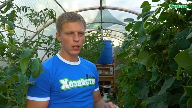 Какие огурцы мы посеем в следующем году! Лучшие огурцы 2019 по нашему мнению.