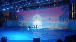 Океанариум Екатеринбурга 6.