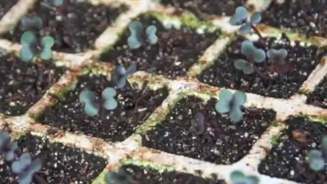 Spring Slide Show 2015 смотреть онлайн