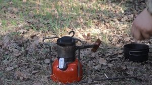 ОДИНОЧНЫЙ ПОХОД ДИВАННОГО ТУРИСТА - Леса под Тарусой