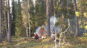 Живу в избе,гоняю медведей от привады.Про охоту на медведя и напарника.