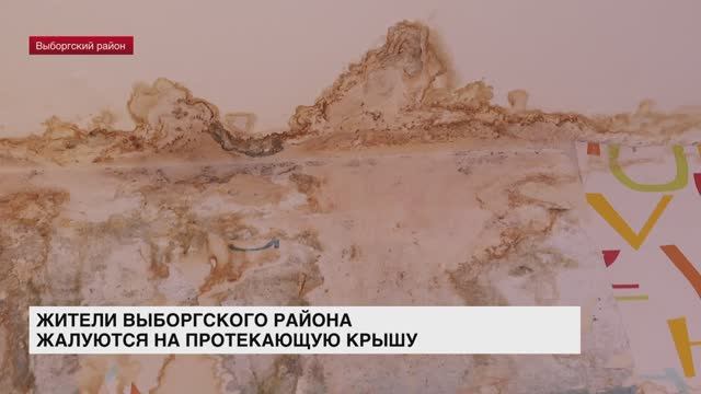 Жители Выборгского района жалуются на протекающую крышу