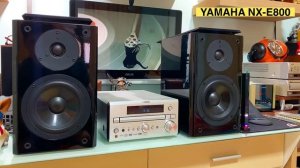 YAMAHA NX-E800 Speaker