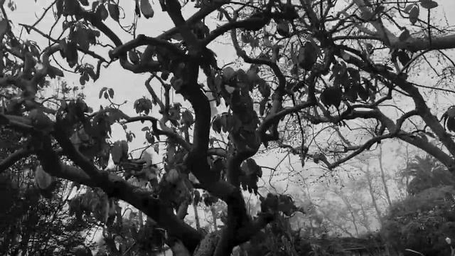 God is Light - Part 2 | Darkness to Light | The Lion & The Lamb Speak | Psalm 88 HD 1080p смотреть онлайн