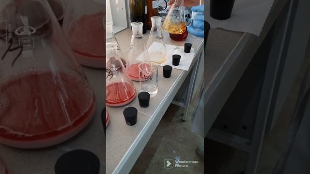 Испытания вина. Определение диоксида серы.