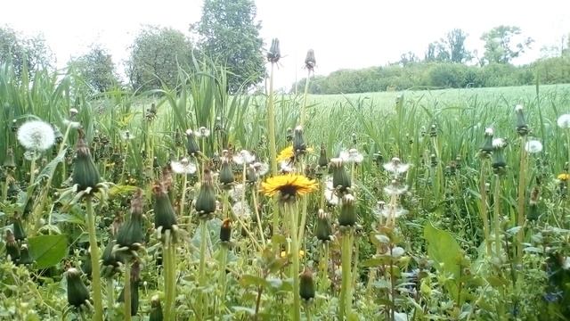 Христианские стихи с глубоким смыслом. смотреть онлайн