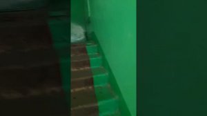 аренда комнаты Россия республика Татарстан город Набережные Челны адрес Гэс 8/21 переулок Есенина,