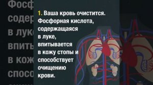 как очистить кровь с помощью лука