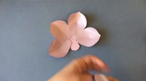 Magnolia flower video tutorial / how to make a simple paper flowers