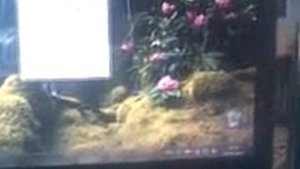 как определить объем двигателя мотоцикла