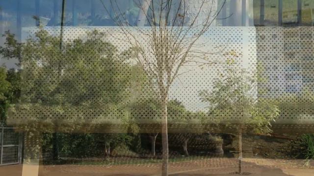 ВОЗЛЕ ТЕАТРА ГОРОДА КИРЬЯТ-МОЦКИНА ... смотреть онлайн