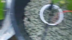 первые завязи помидор и перцеа