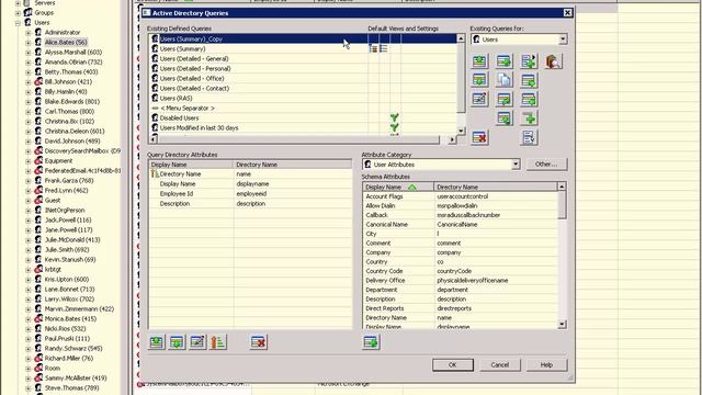 Hyena Active Directory Query Basics (201)