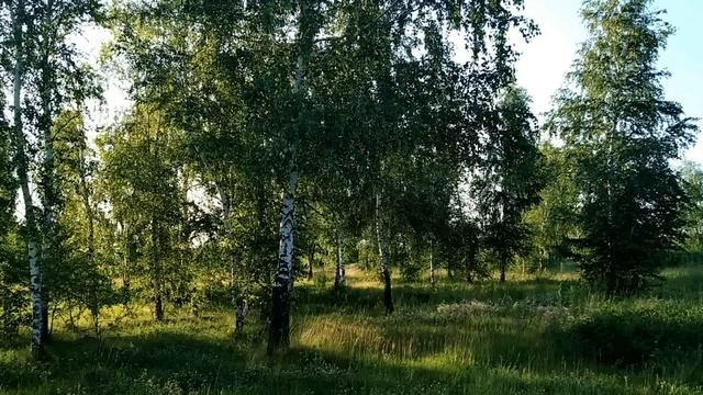 12 июня.ДЕНЬ СВЯТОЙ ТРОИЦЫ.Что можно и что нельзя делать.Старые традиции.Приметы