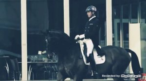 ЛОШАДИ КЛИП-ЛЕТЕТЬ