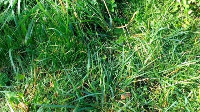 БМВ Е34 Ремонт вентиляции картерных газов BMW E34 смотреть онлайн