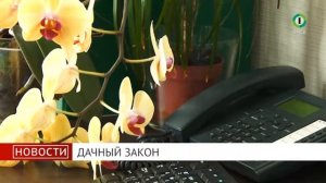 Сюжет "Дачный закон"