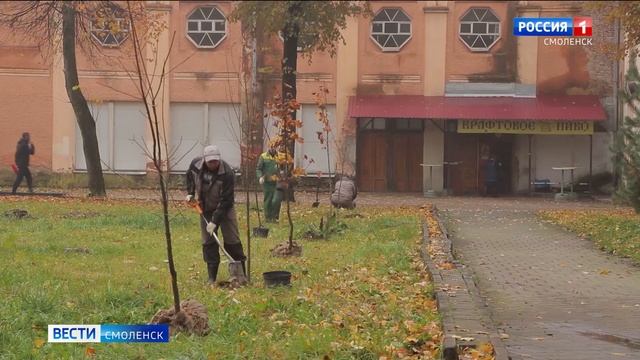 В Смоленске проходит осеннее озеленение