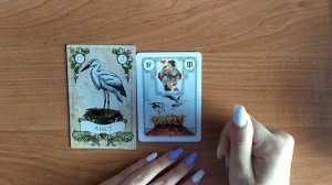 Значение карт Ленорман. Значение карты Аист.