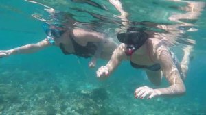 Мы в Египте. Хургада. Коралловый риф в отеле Захабия (Zahabia)