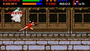 Xiaomei and the Flame Dragon's Fist | New Sega Genesis game (2024)