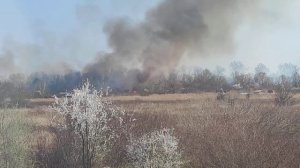 Краснодар станица Елизаветинская 13.03.20