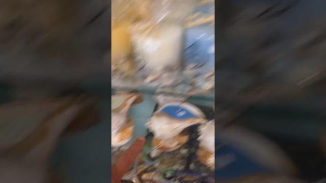 США. Магазин на тему моря )) Санибел айлэнд. Флорида смотреть онлайн