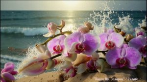 "Книга Пр. Захарии" / 2 ГЛАВА