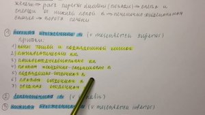 Билет 076. ВОРОТНАЯ ВЕНА, ЕЕ ОБРАЗОВАНИЕ, ХОД, ЗНАЧЕНИЕ.