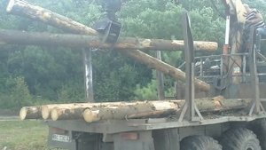 Как УРАЛ кругляк сосны грузил, я офигел О_О 10 кубов за 20 минут!!!