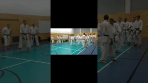 Simon Staples Sensei course at Kings Cross Shotokan Karate Club on 29th Jan 2015