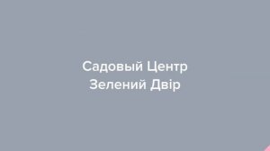 Садовый Центр Зелений Двір - Черешня Тамара c ОКС
