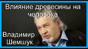 Влияние древесины на человека. Владимир Шемшук